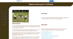 Desktop Screenshot of amairgens.faithweb.com